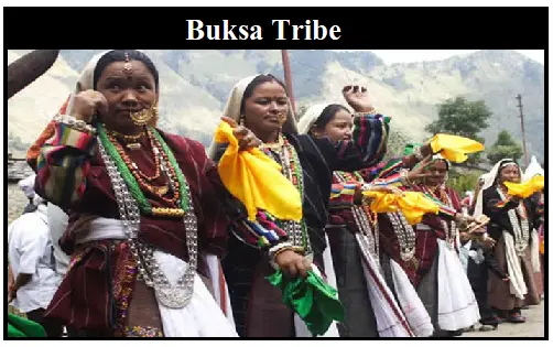 Buksa Tribe of Uttarakhand